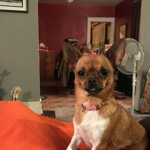 Meet your Posher, Danny